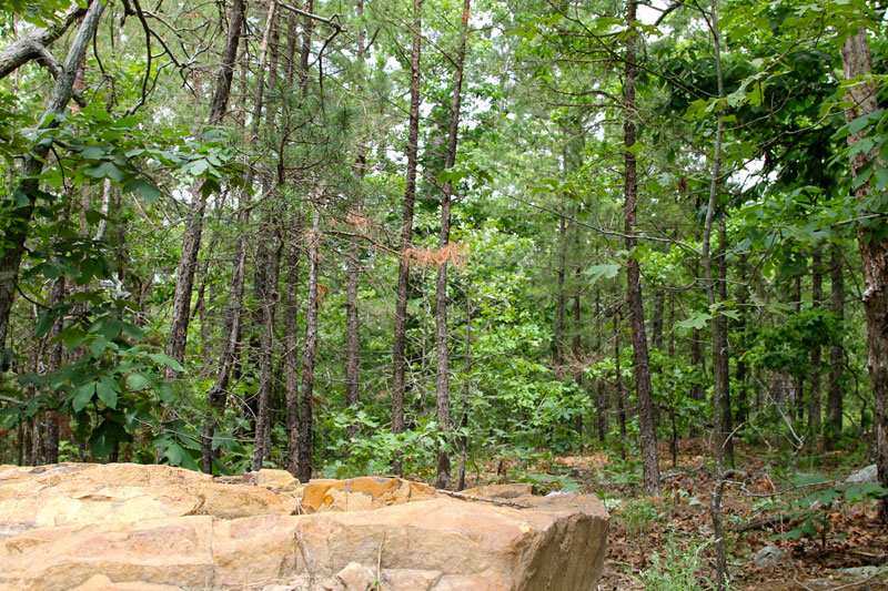 Tract 95 at Trophy Ridge Phase II in Pushmataha County, Oklahoma