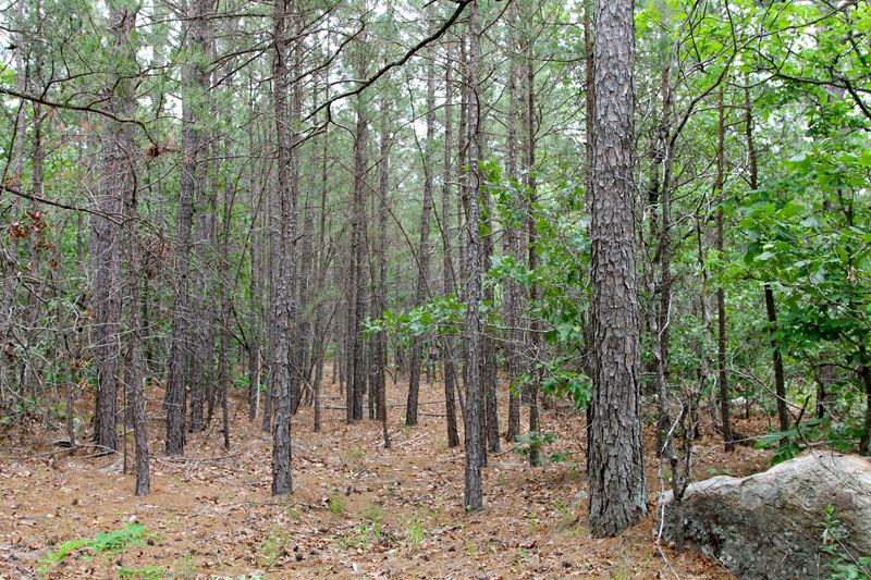 Tract 97 at Trophy Ridge Phase II in Pushmataha County, Oklahoma