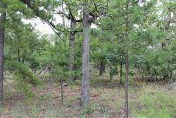 Trophy Ridge Phase III Tract 10