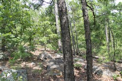 Trophy Ridge Phase III Tract 10