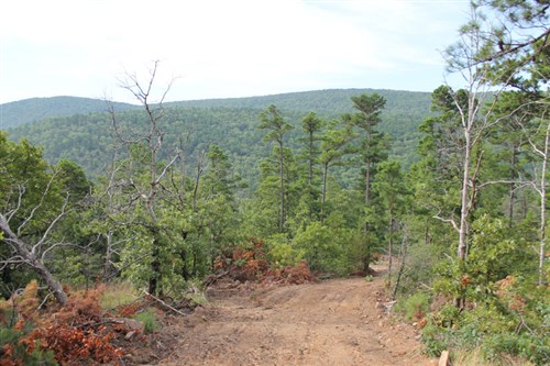 Trophy Ridge Phase III Tract 25