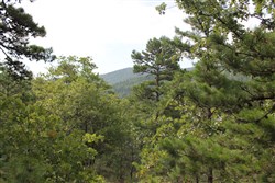 Trophy Ridge Phase III Tract 25