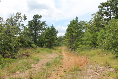 Trophy Ridge Phase III Tract 36
