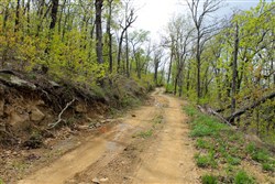Trophy Ridge Phase III Tract 53