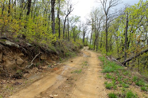 Trophy Ridge Phase III Tract 53