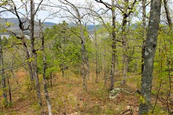 Trophy Ridge Phase III Tract 53