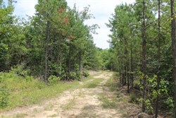 Trophy Ridge Phase III Tract 8