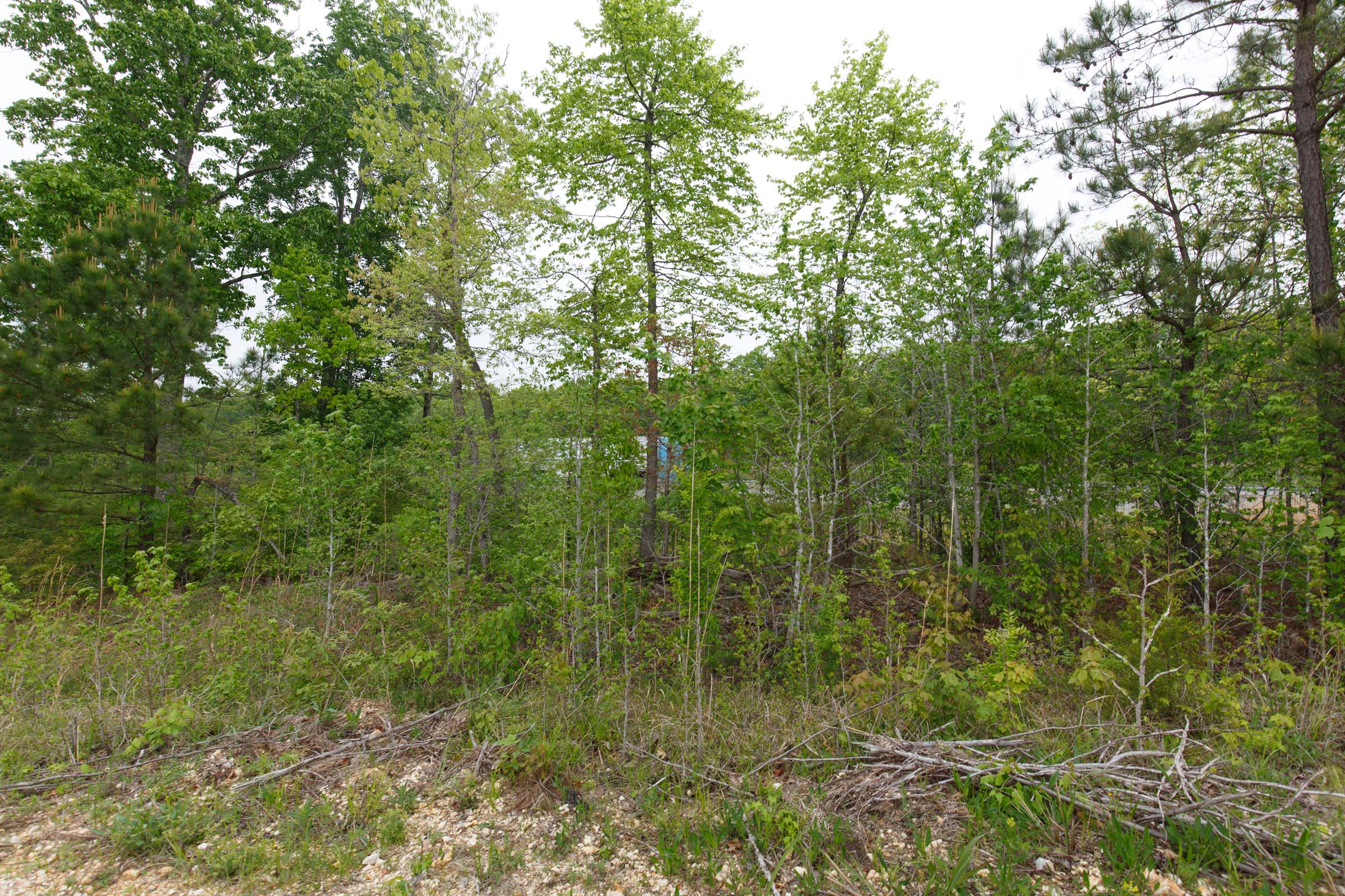 Tract 10 at Red Barn Ranch in Benton County, Tennessee