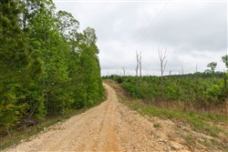 Red Barn Ranch Tract 11