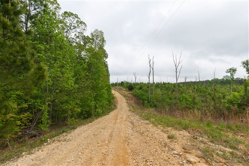 Red Barn Ranch Tract 11