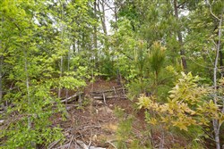 Red Barn Ranch Tract 11