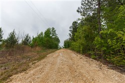 Red Barn Ranch Tract 11