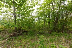 Red Barn Ranch Tract 11