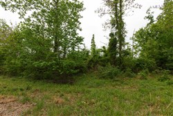 Red Barn Ranch Tract 11