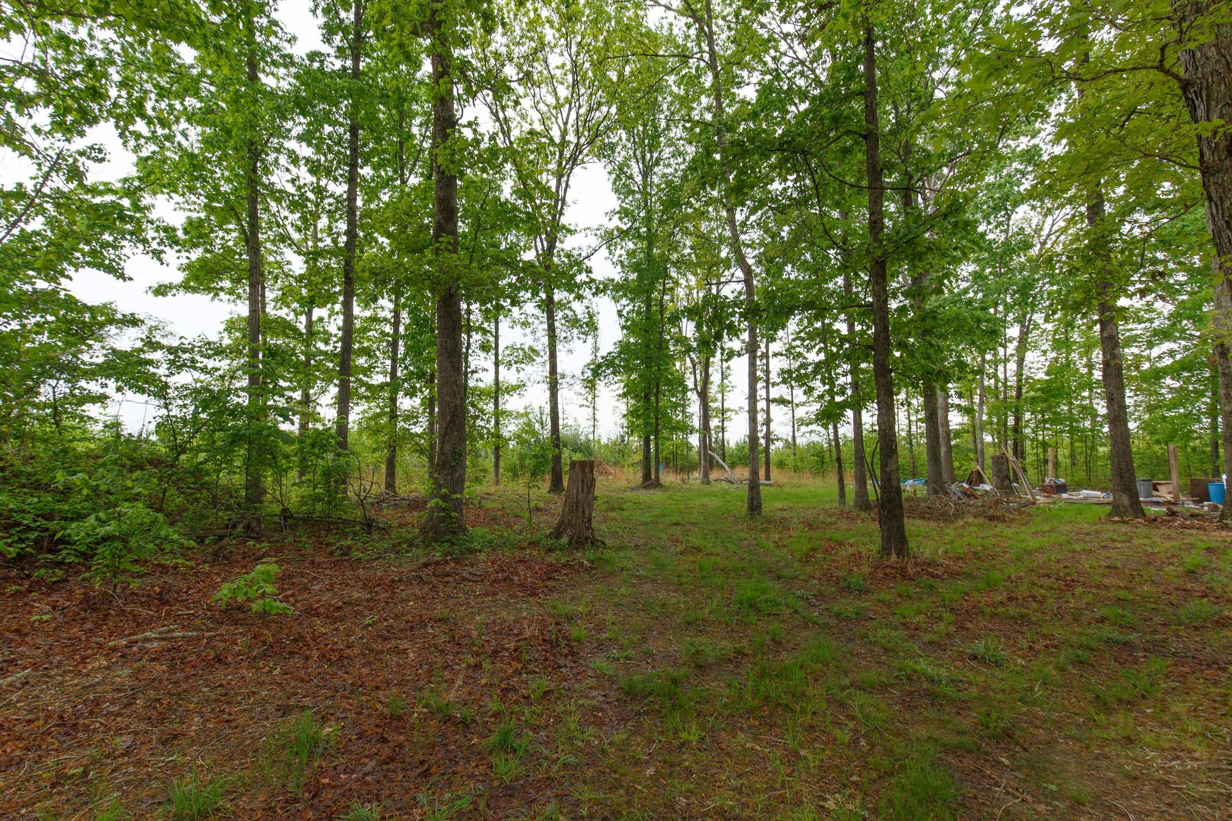 Tract 12 at Red Barn Ranch in Benton County, Tennessee