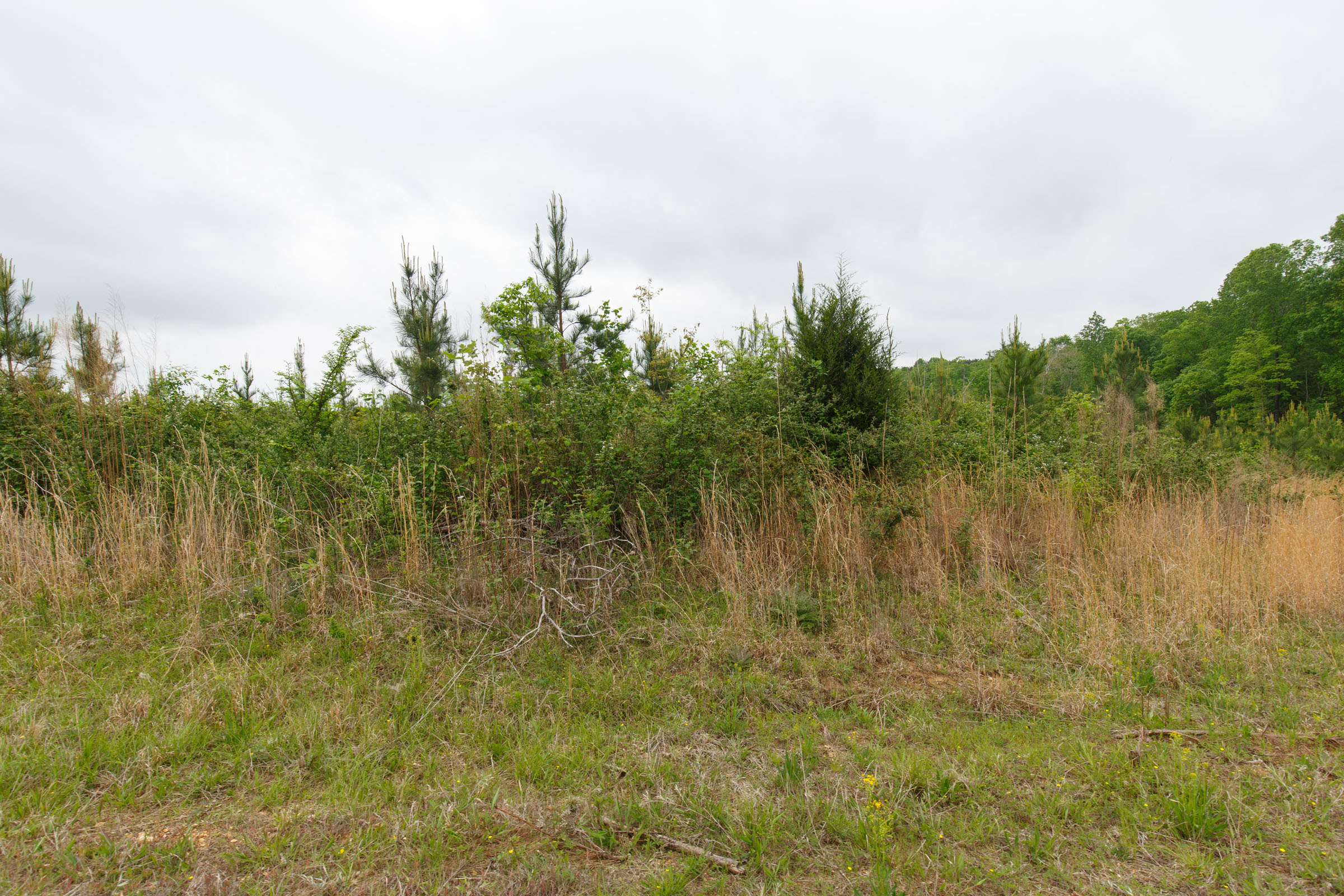 Tract 16 at Red Barn Ranch in Benton County, Tennessee