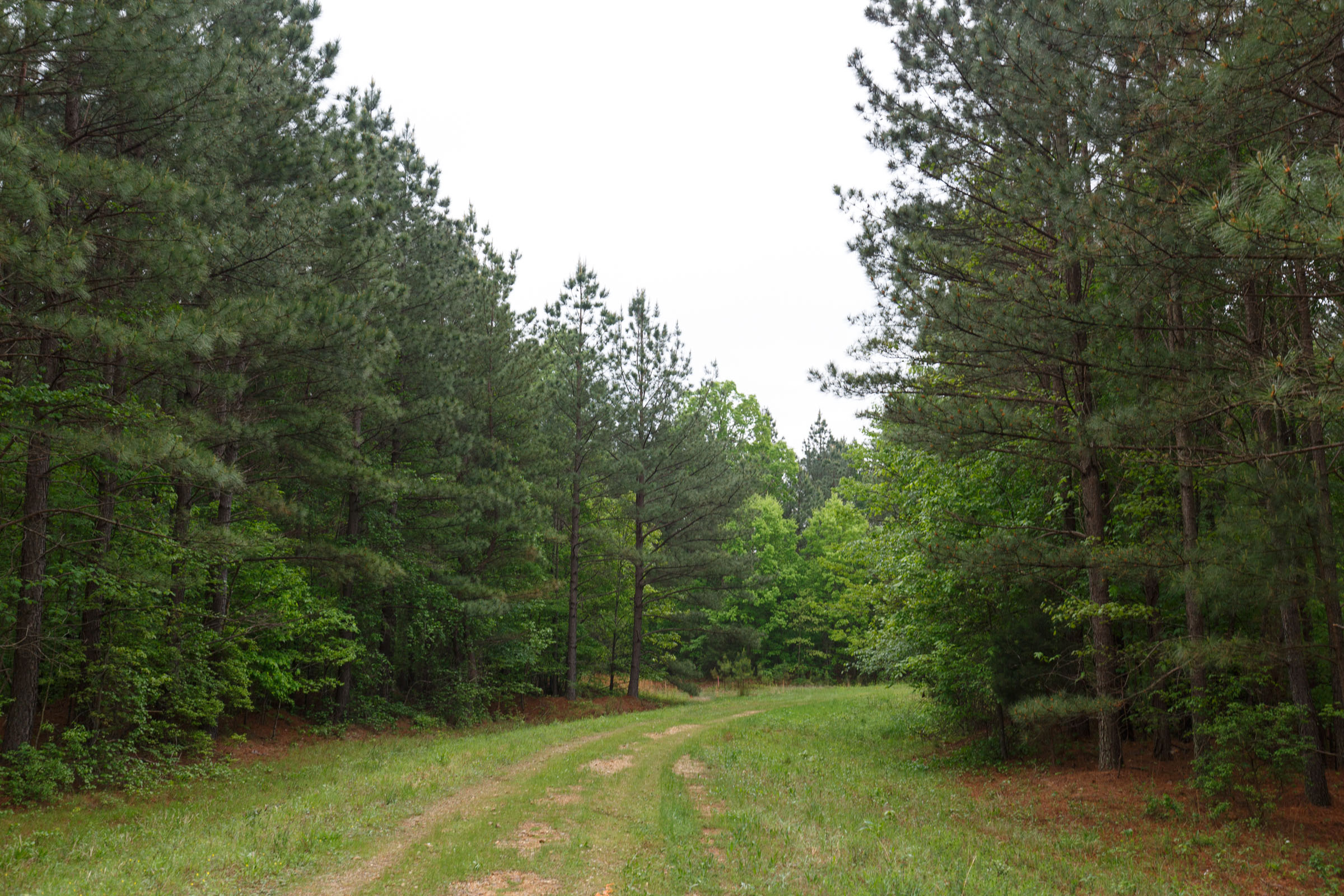 Tract 20 at Red Barn Ranch in Benton County, Tennessee