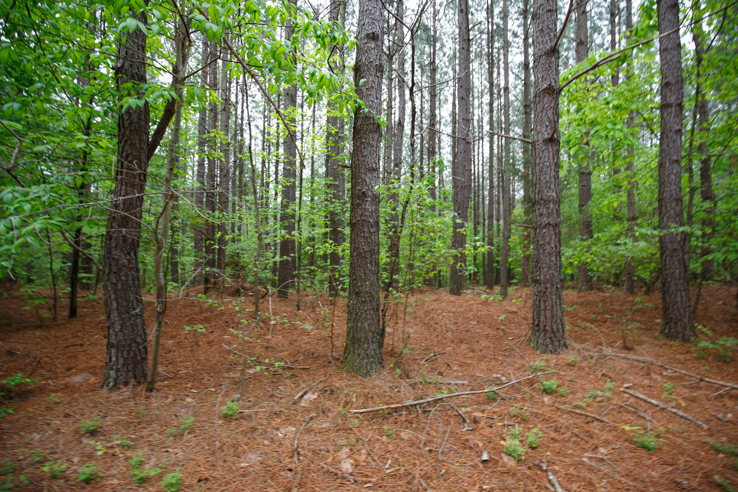 Tract 21 at Red Barn Ranch in Benton County, Tennessee