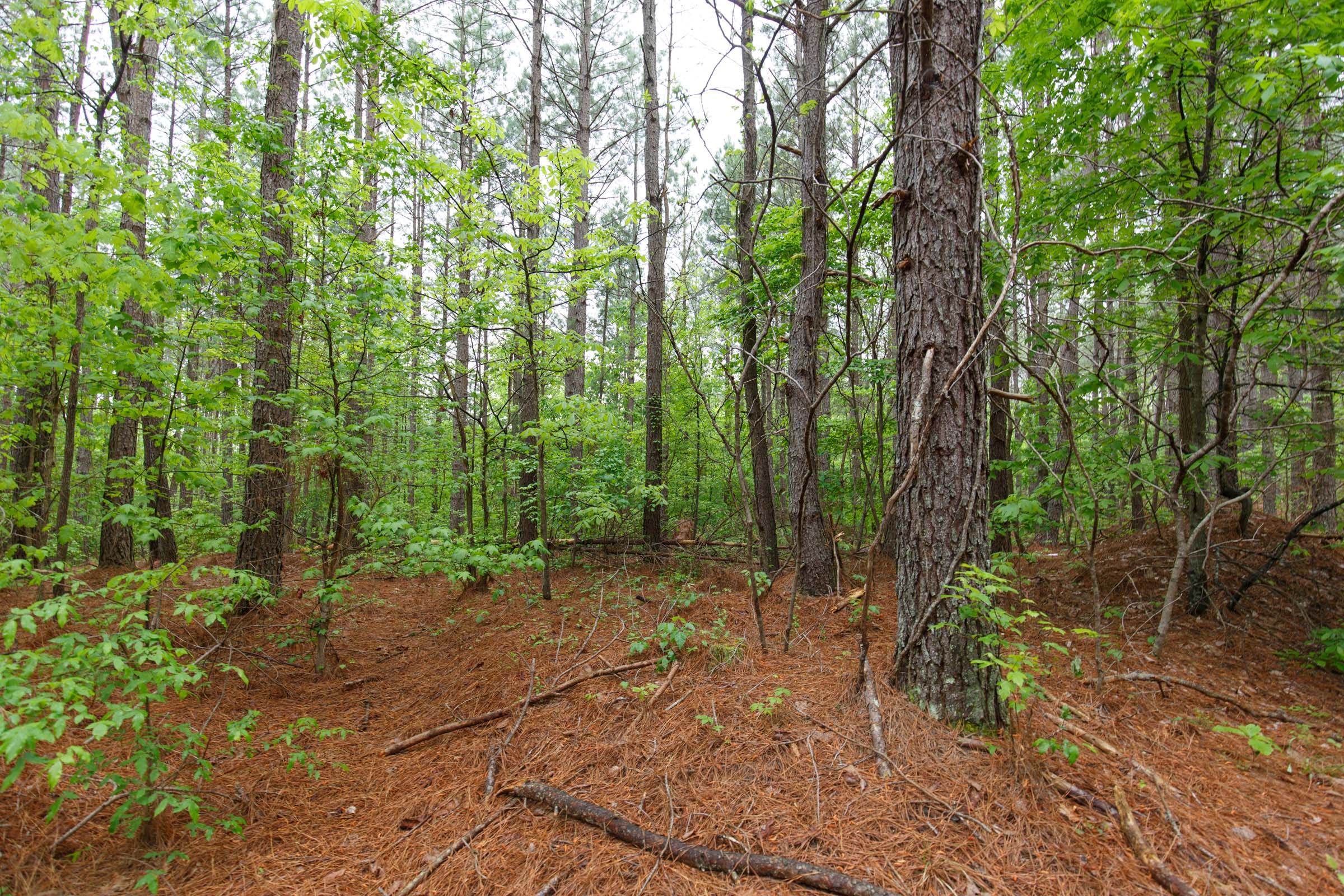 Tract 22 at Red Barn Ranch in Benton County, Tennessee