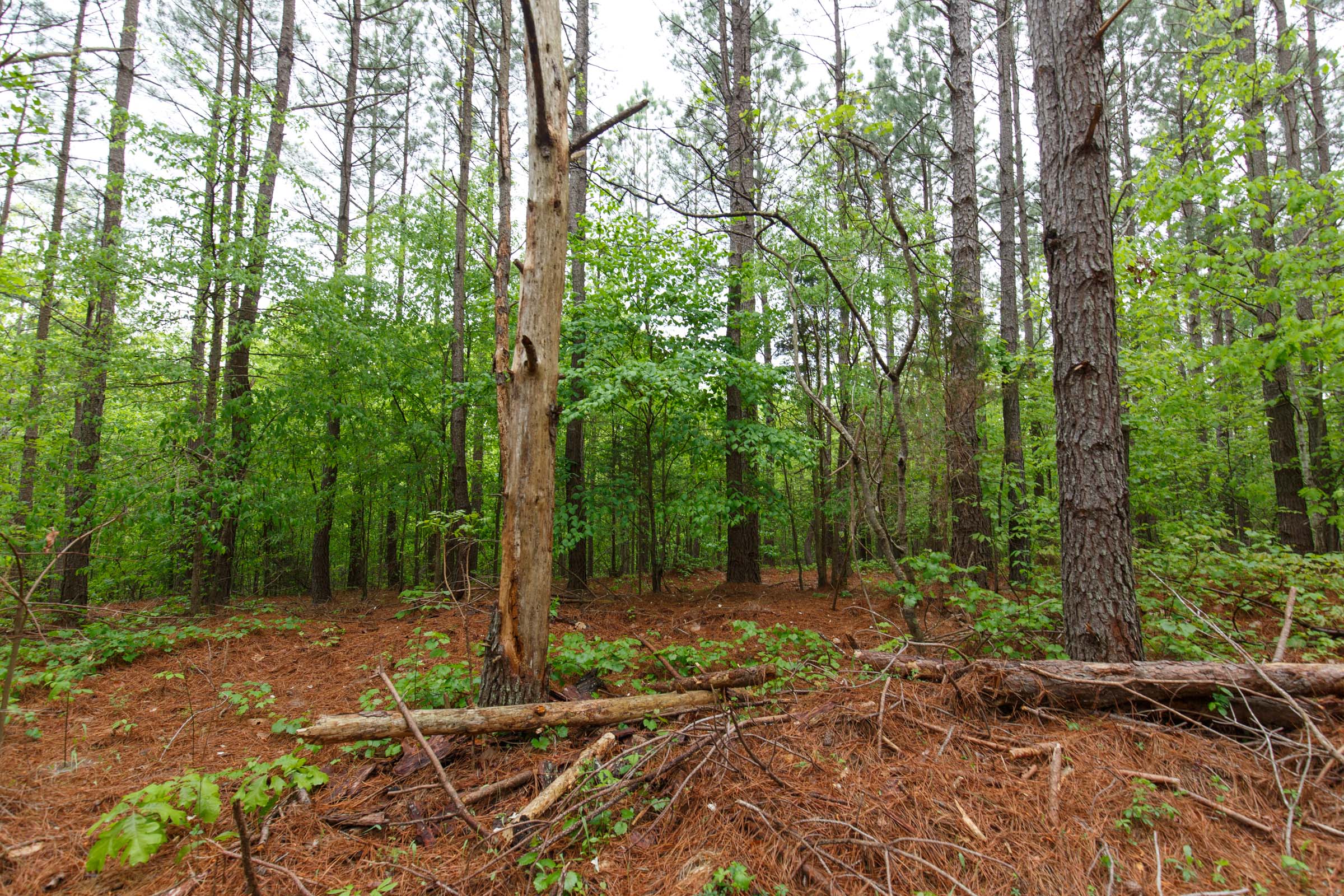 Tract 23 at Red Barn Ranch in Benton County, Tennessee