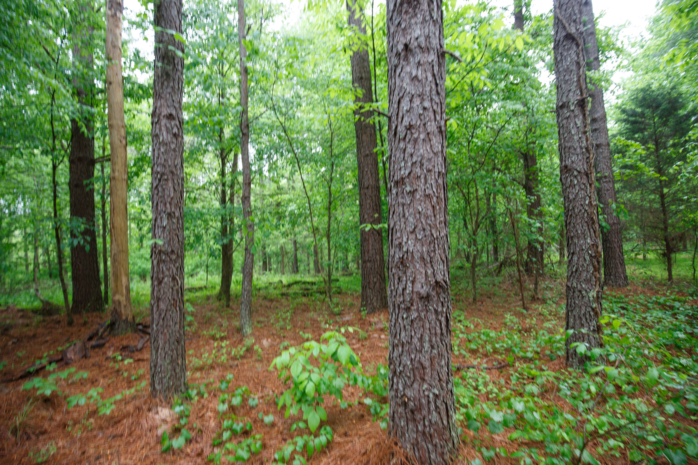 Tract 26 at Red Barn Ranch in Benton County, Tennessee