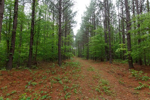 Red Barn Ranch Tract 28