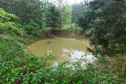 Red Barn Ranch Tract 29