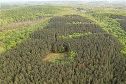 Red Barn Ranch Tract 29