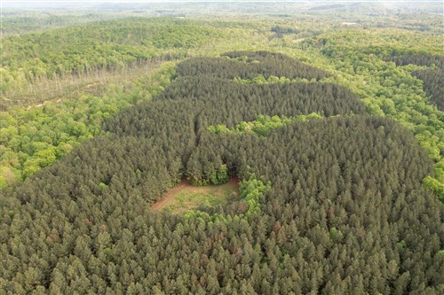 Red Barn Ranch Tract 29