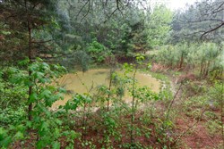 Red Barn Ranch Tract 29