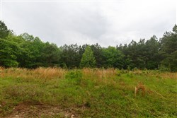 Red Barn Ranch Tract 29