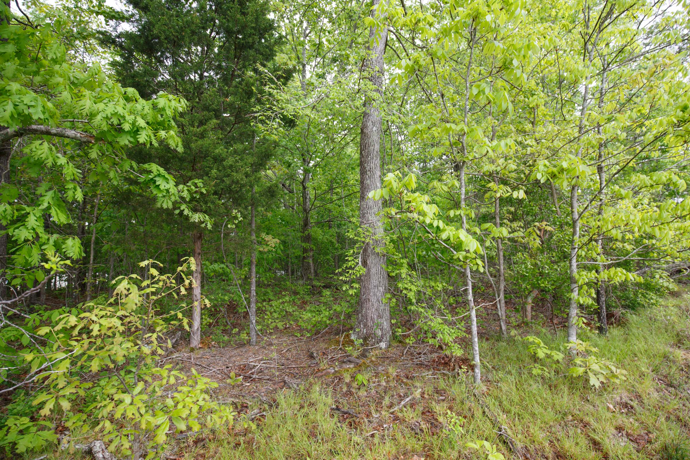 Tract 3 at Red Barn Ranch in Benton County, Tennessee