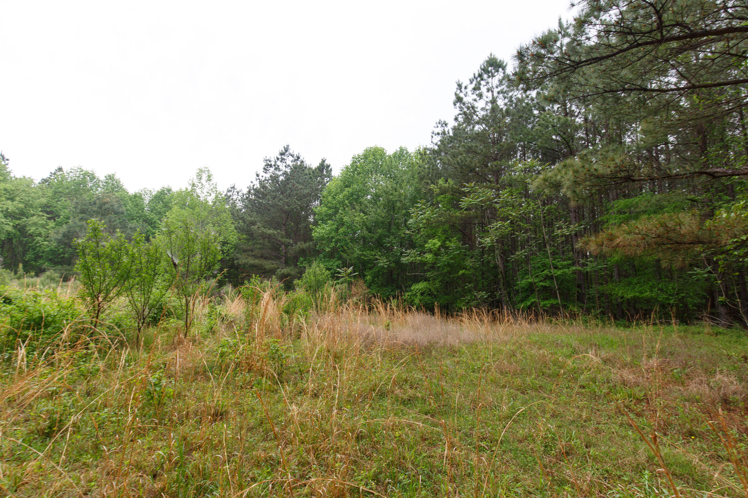 Tract 30 at Red Barn Ranch in Benton County, Tennessee