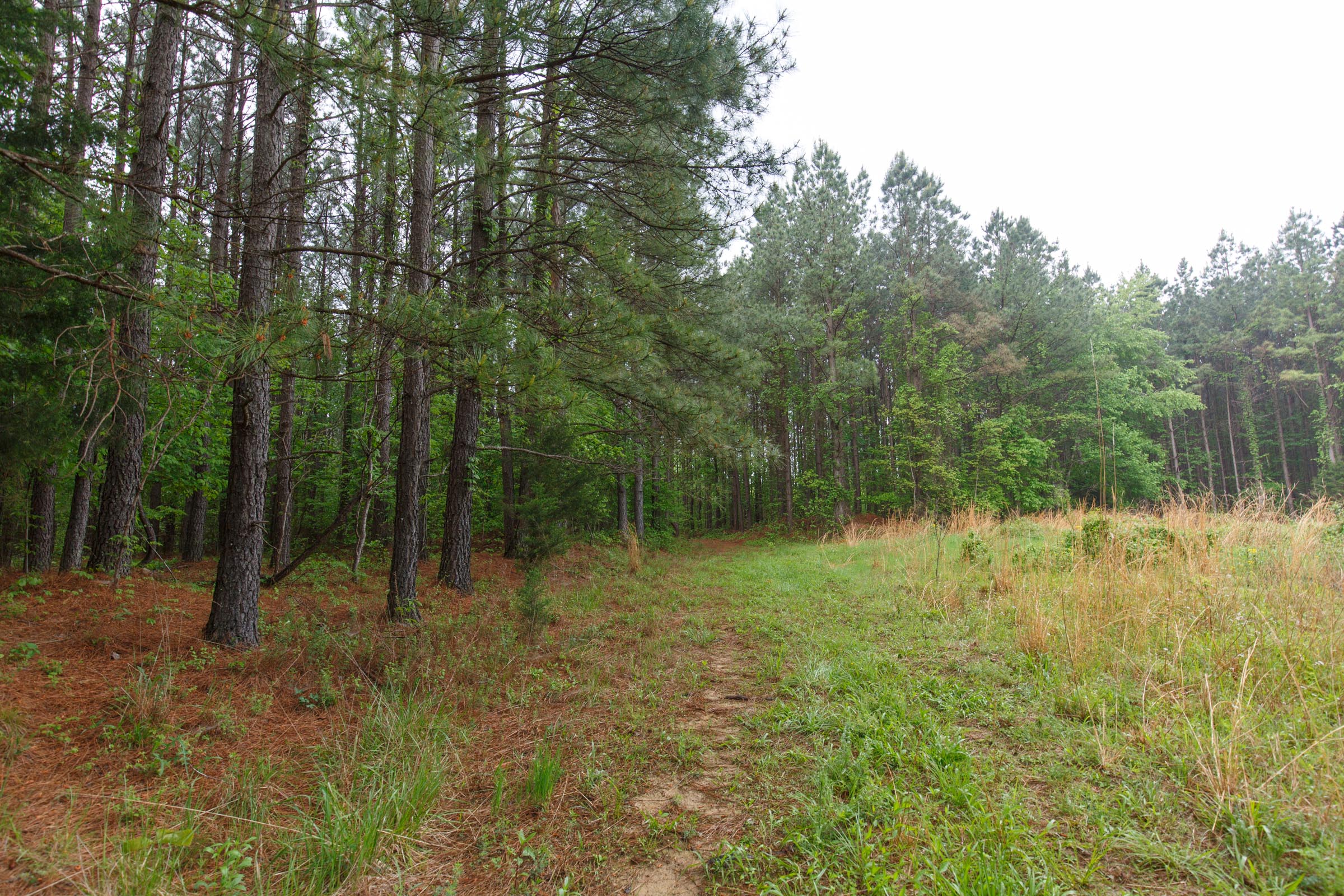 Tract 35 at Red Barn Ranch in Benton County, Tennessee
