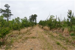 property photo for Red Barn Ranch Tract 36, 5.3 acres for sale in Benton County, Tennessee