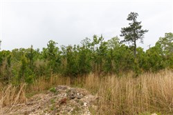 property photo for Red Barn Ranch Tract 36, 5.3 acres for sale in Benton County, Tennessee