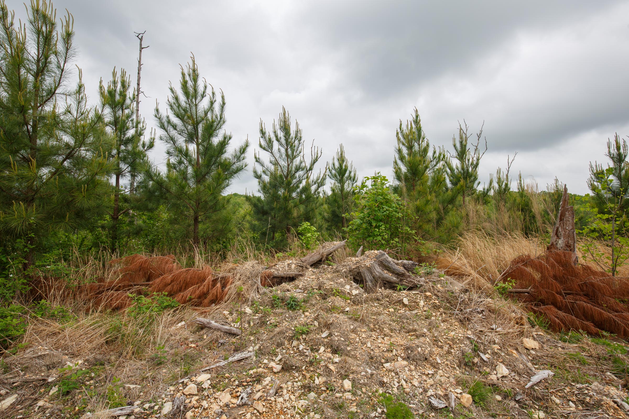 Tract 43 at Red Barn Ranch in Benton County, Tennessee