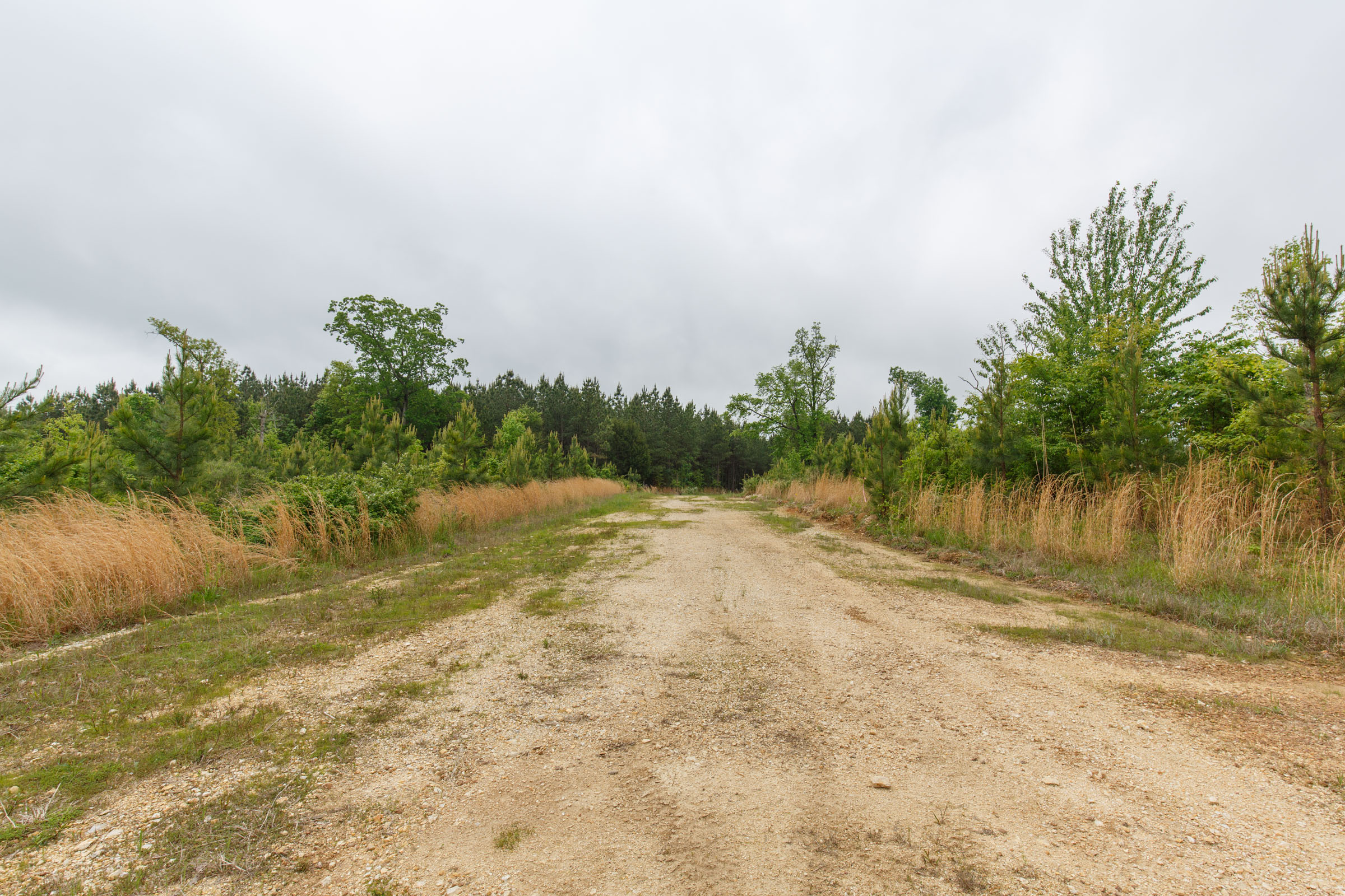 Tract 5 at Red Barn Ranch in Benton County, Tennessee