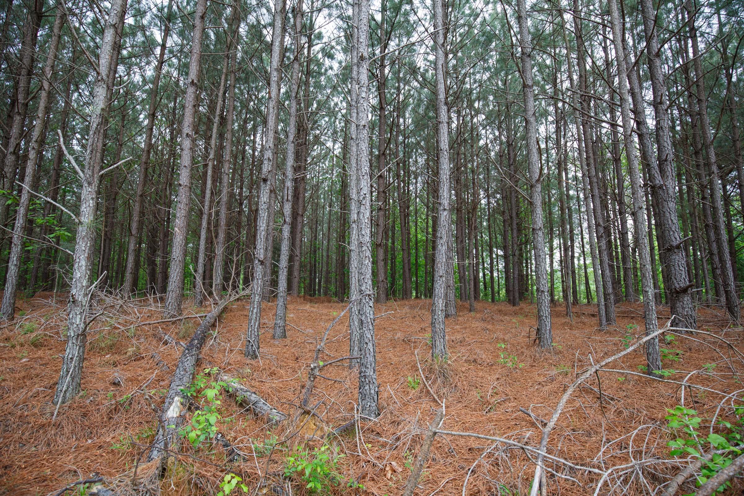 Tract 6 at Red Barn Ranch in Benton County, Tennessee