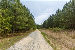 Red Barn Ranch Tract 64