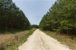 Red Barn Ranch Tract 64