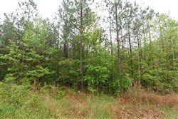 Red Barn Ranch Tract 65