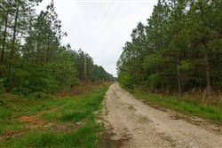 Red Barn Ranch Tract 65