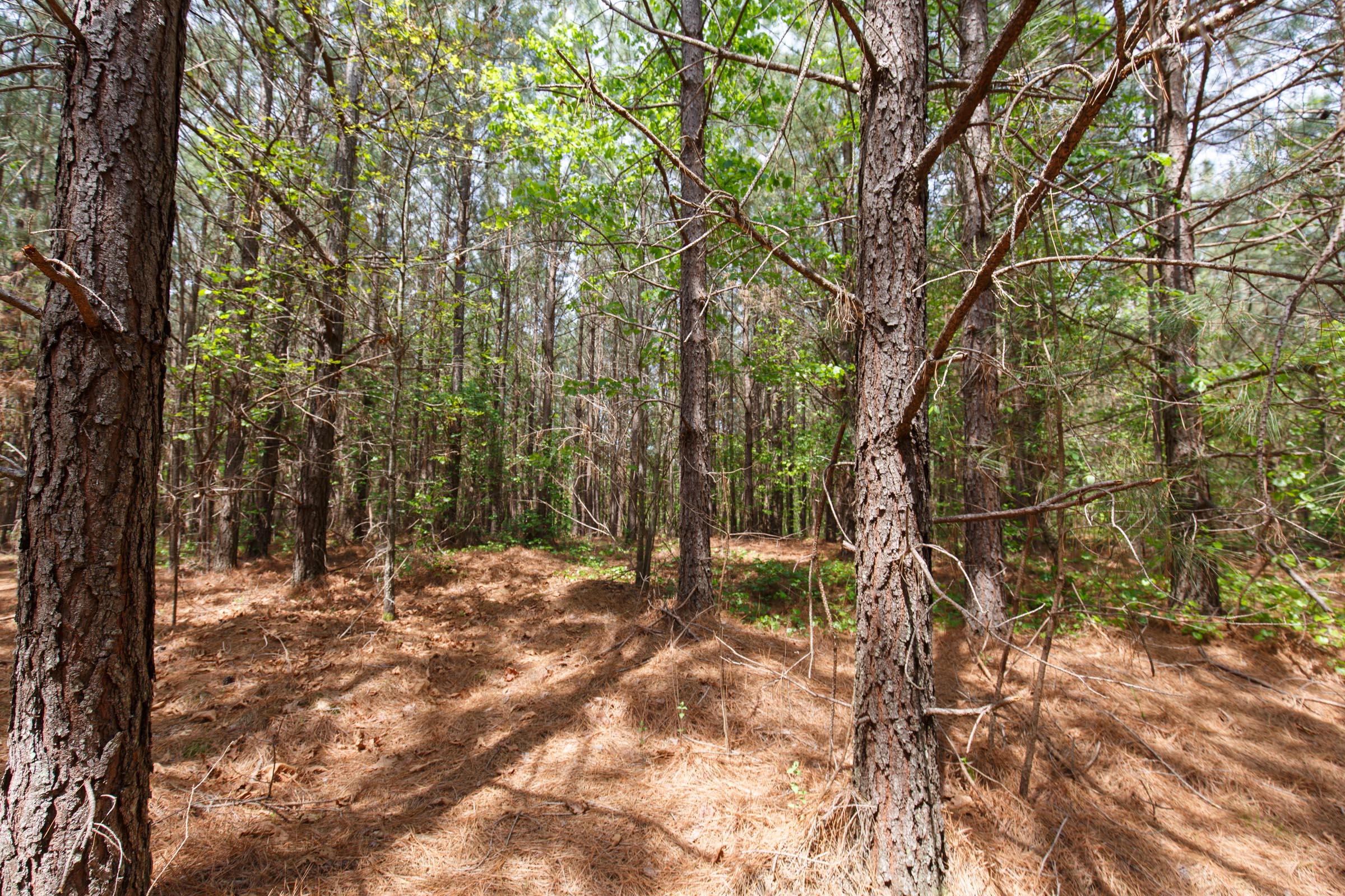 Tract 7 at Red Barn Ranch in Benton County, Tennessee
