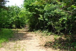 Bluebird Ranch Tract 15