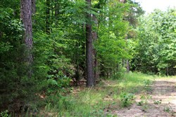 Bluebird Ranch Tract 15