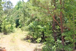 property photo for Hickory Hill Ranch Tract 10, 6 acres for sale in Decatur County, Tennessee