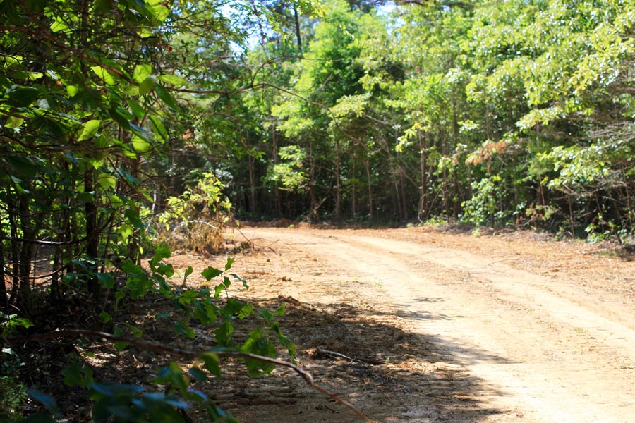 Tract 7 at Hickory Hill Ranch in Decatur County, Tennessee