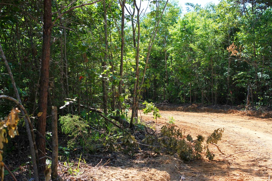 Tract 8 at Hickory Hill Ranch in Decatur County, Tennessee