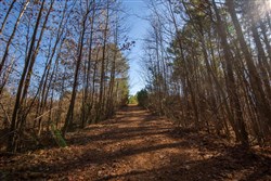 property photo for Pine Ridge Tract 11, 6.21 acres for sale in Decatur County, Tennessee